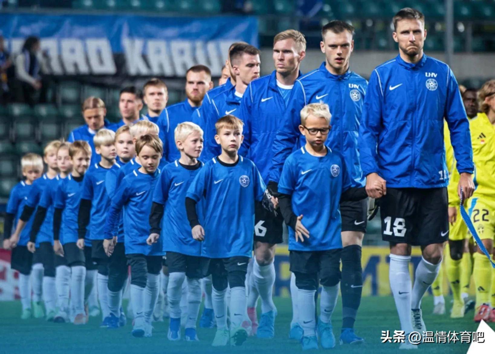 关于瑞典队一球惜败克罗地亚，欧预赛意外告终的信息