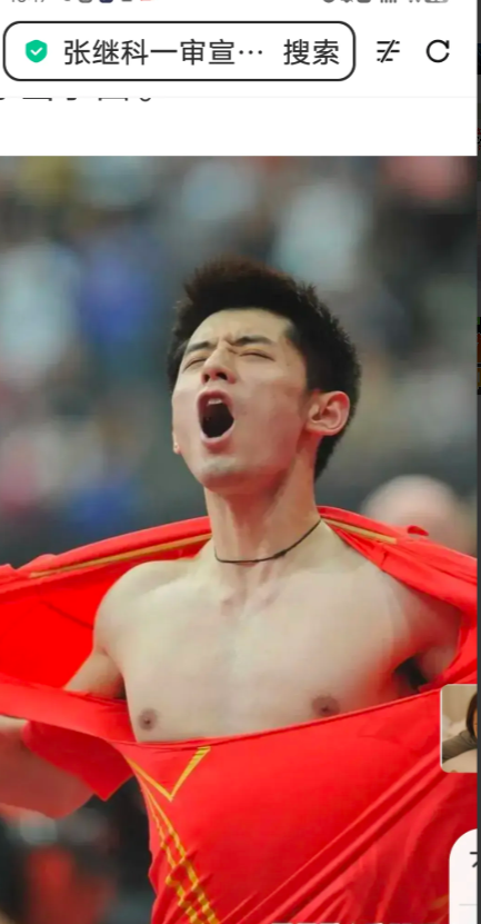 法国乒乓球队碾压比利时乒乓球队，张继科爆发神勇的简单介绍