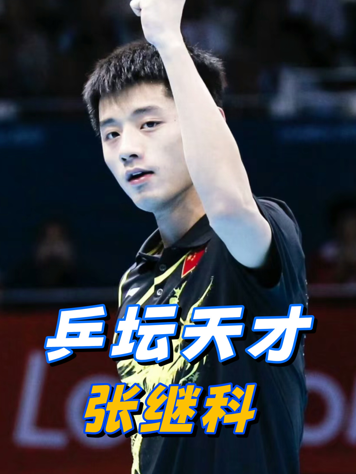 波兰乒乓球队翻盘德国乒乓球队，张继科惊艳世界的简单介绍