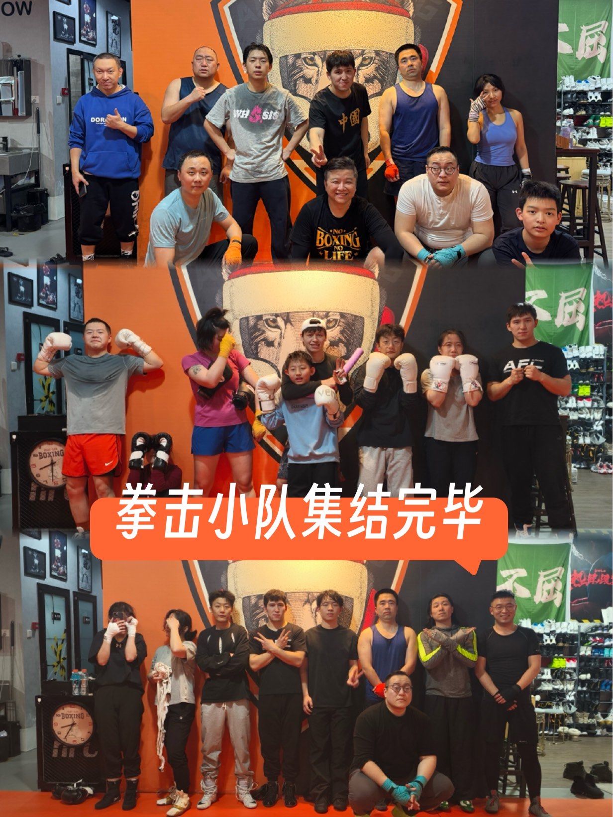 拳击小组赛落幕，强队悉数晋级