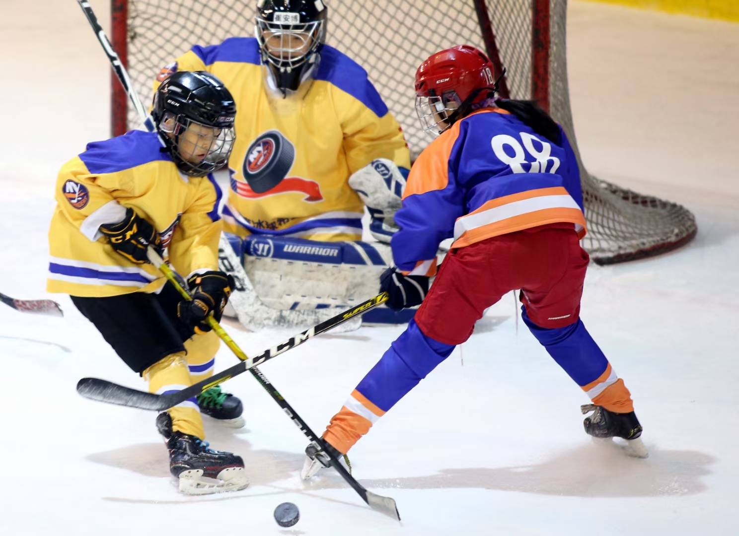 冰球赛季收官，冠军榜单揭晓的简单介绍