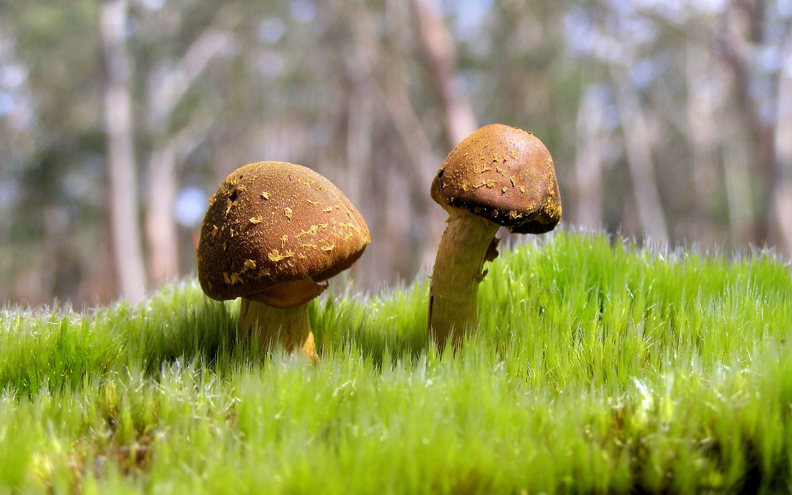 金玟哉年度焦点战接管比赛,尼日利亚单节击溃厄瓜多尔