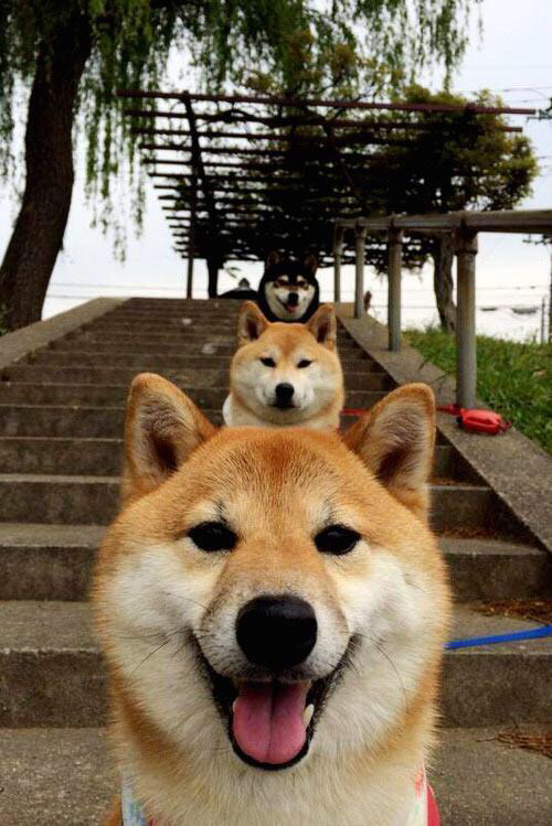 逆袭之夜,文班亚马自我救赎,北京队单节击溃黄蜂