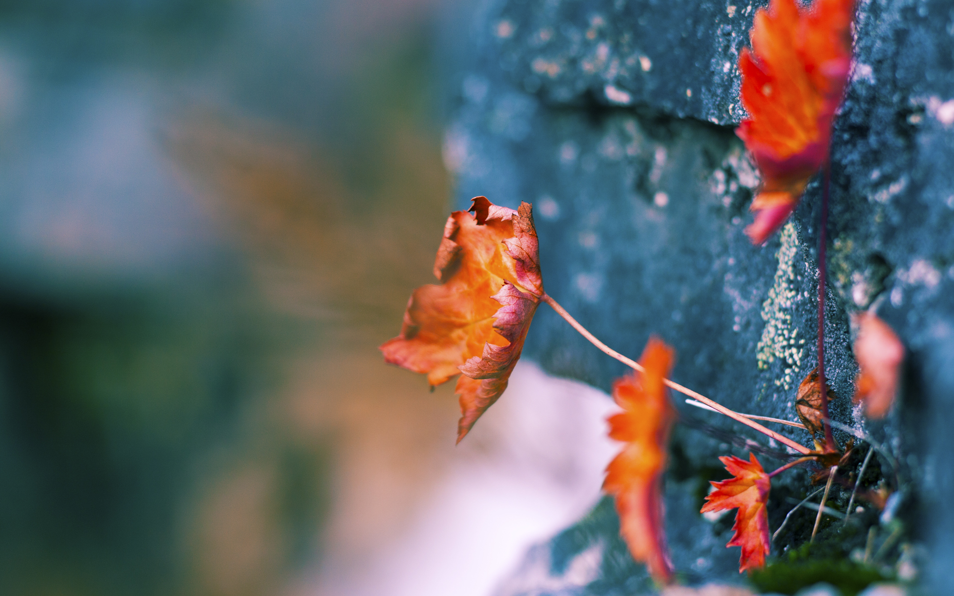 喀麦隆对阵哥伦比亚，孙兴慜惊艳四座的足球盛宴