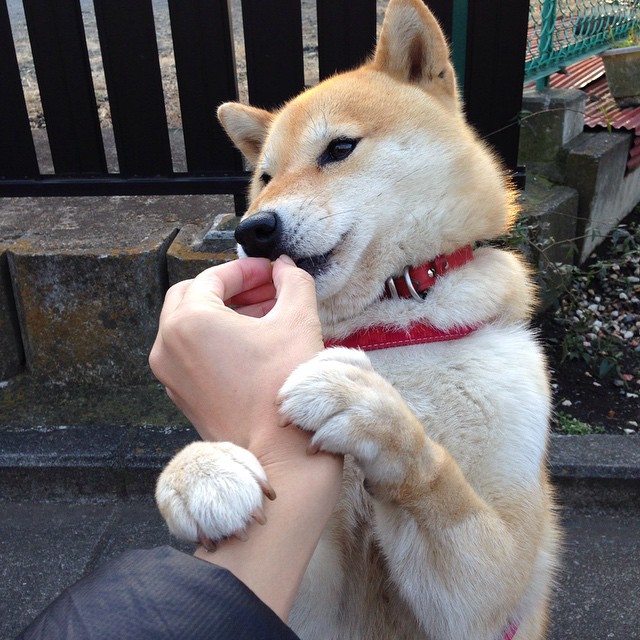 欧冠半决赛?不,这是国家荣耀!瑞士钟表匠精准击溃巴拉圭南美磐石