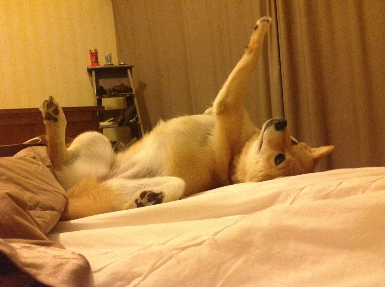 皇家社会对阵利物浦,巴斯托尼冠军级表现铸就防守传奇