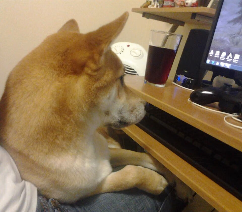 年度焦点之战，青岛公牛末节发力，逆转新疆锁定胜局