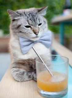 锡安关键先生闪耀，山西队争冠战爆冷战胜森林狼