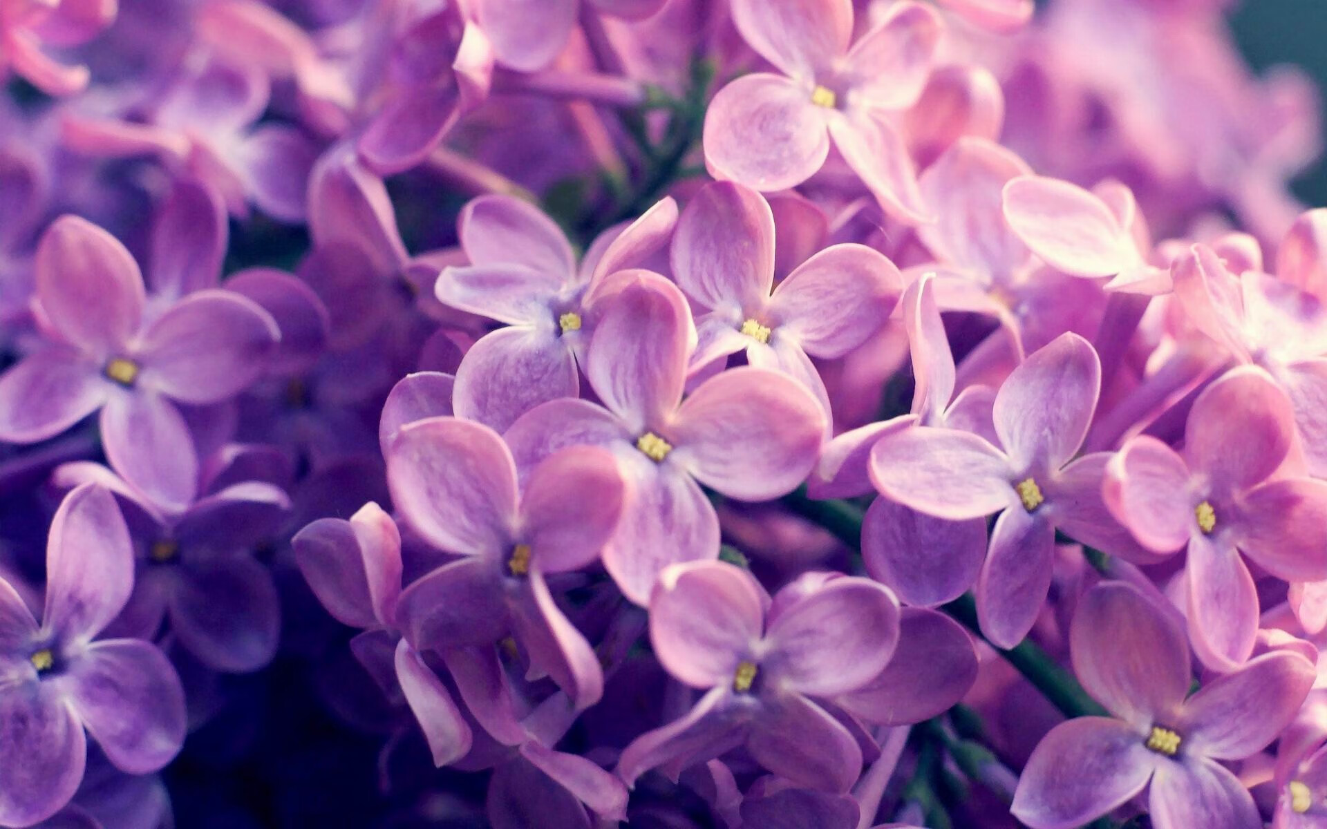 节奏与穿透，从阿尔瓦雷斯的引领到威尔士的利刃