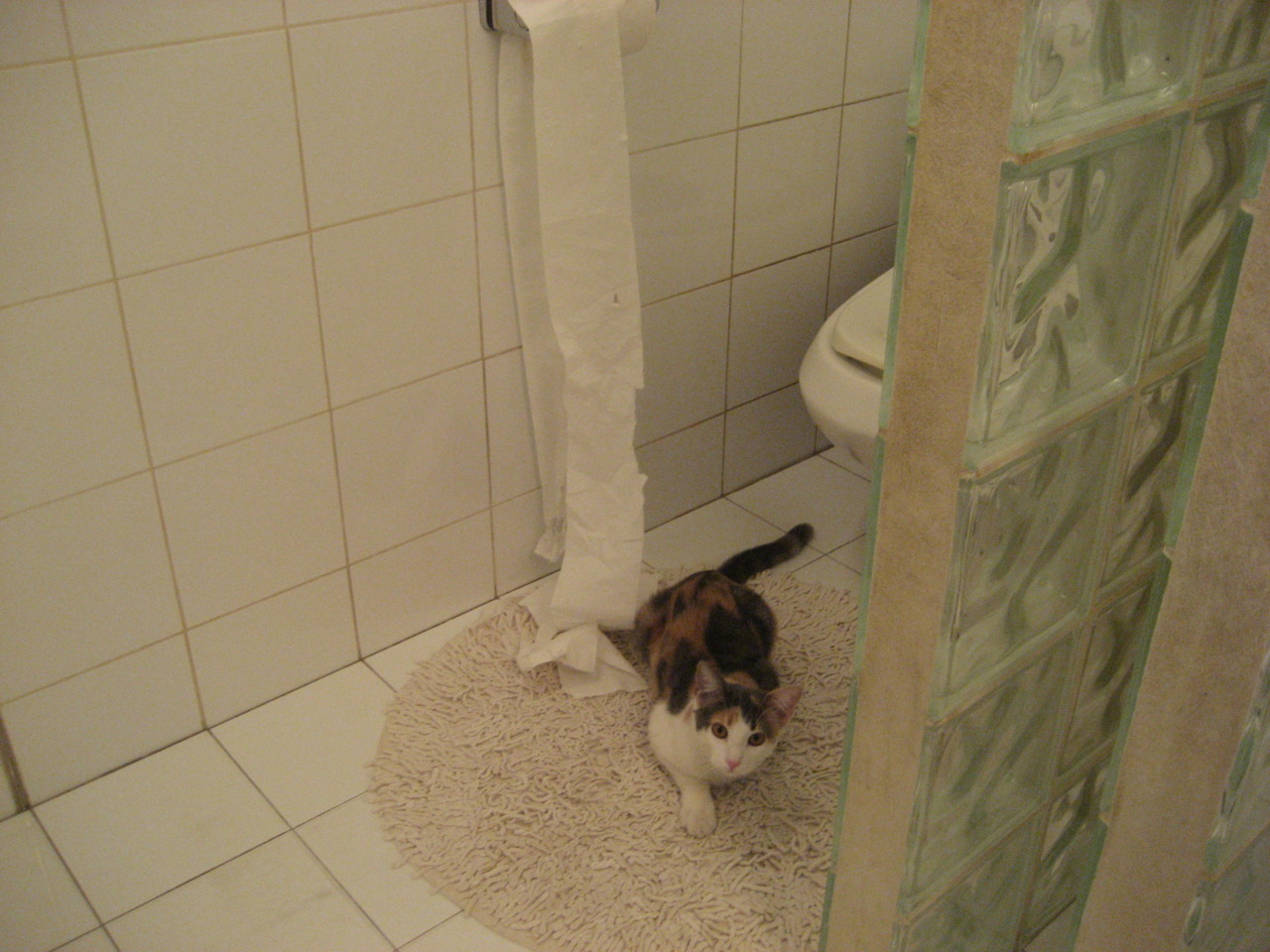 教科书之战，德里赫特在智利与阿尔及利亚的跨界对决中，定义了现代后卫的艺术